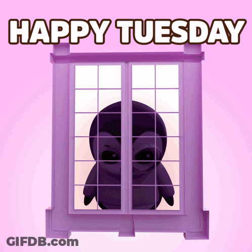 Penguin Looking Out Purple Window Happy Tuesday GIF