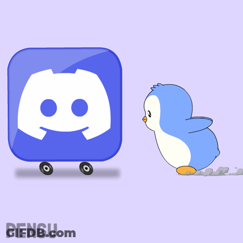 Penguin Next To Discord Logo GIF