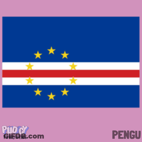 Penguin Next To Soccer Ball With Penguins Flag GIF