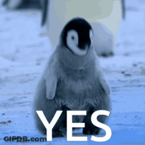 Penguin Nodding Yes Meme GIF