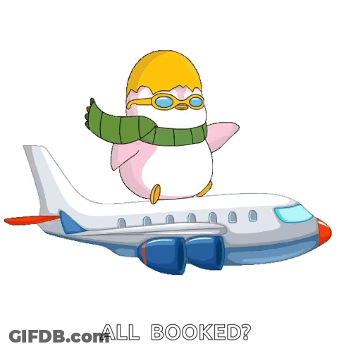 Penguin On Airplane Saying All Booked GIF