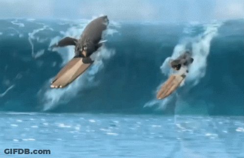 Penguin On Surfboard Jumping Into Water GIF