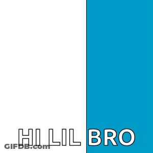 Penguin Peeking Behind Blue Wall Saying Hi Lil Bro GIF