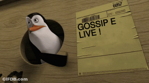 Penguin Peeking From Hole With Gossip E Live GIF