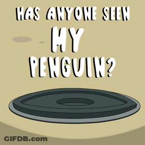 Penguin Peeking Hole Has Anyone Seen My Penguin GIF