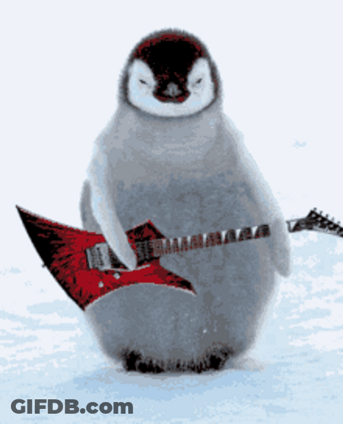 Penguin Playing Guitar GIF