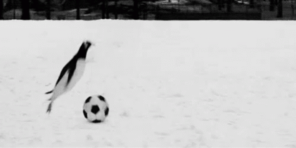 Penguin Playing Soccer Ball GIF