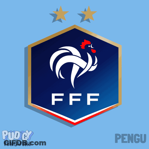 Penguin Playing Soccer With FFF Logo GIF