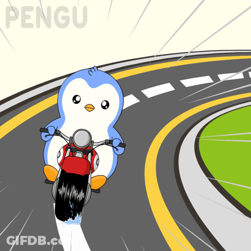 Penguin Riding Motorcycle With Pengu GIF