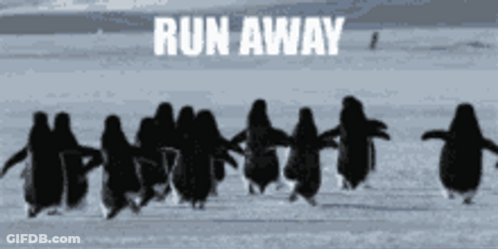 Penguin Running Away Fast GIF