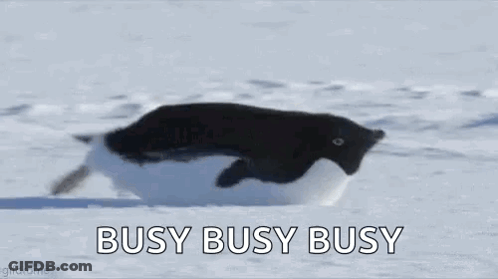Penguin Running Through Snow Saying Busy Busy Busy GIF