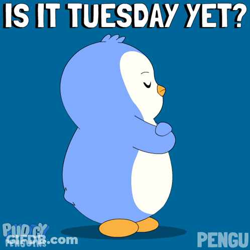 Penguin Saying Is It Tuesday Yet GIF