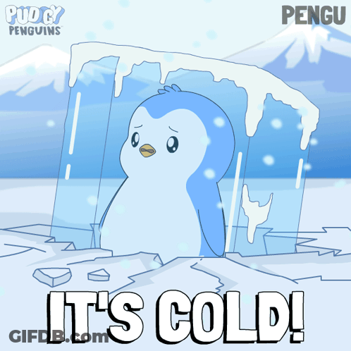 Penguin Saying It's Cold GIF