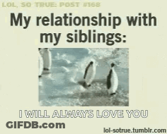 Penguin Saying My Relationship With My Siblings I Will Always Love You GIF