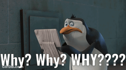 Penguin Saying Why Why Why GIF