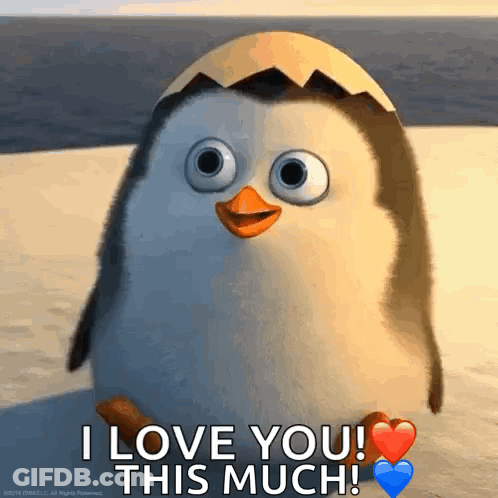Penguin Says I Love You This Much With Hearts GIF