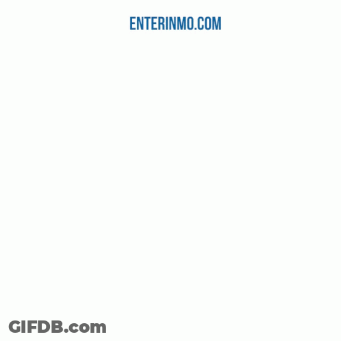 Penguin Sitting At Desk With Hyper Liquid GIF