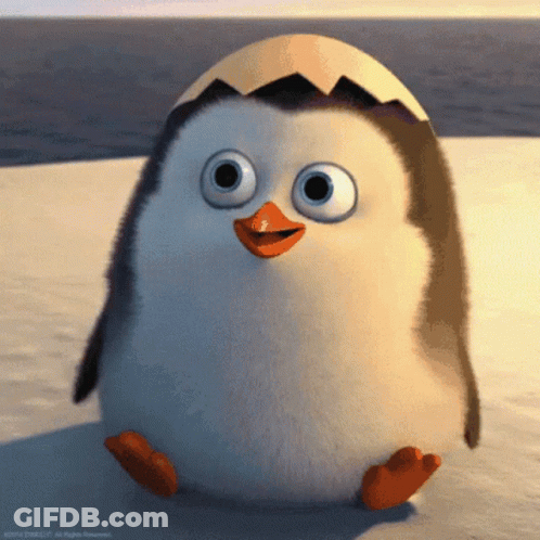Penguin Sitting On Beach With Egg Shell GIF