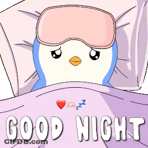 Penguin Sleep Mask Good Night GIF