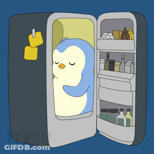 Penguin Sleeping In Refrigerator GIF