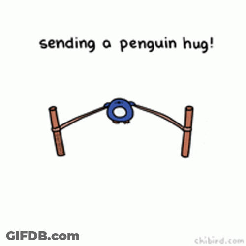 Penguin Sling Shot Sending You A Hug GIF