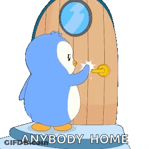 Penguin Standing In Front Of Anybody Home Door GIF