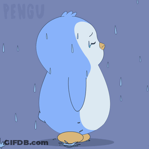 Penguin Standing In Rain GIF