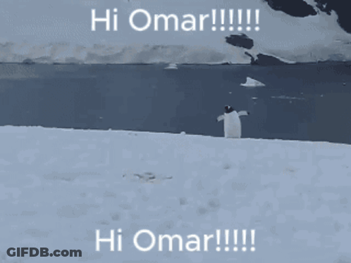 Penguin Standing In Snow Saying Hi Omar GIF