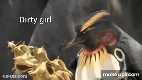 Penguin Standing Next To Dragon Statue Saying Dirty Girl GIF