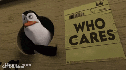 Penguin Standing Next To Paper Saying Who Cares GIF