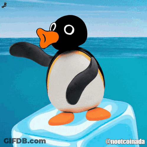 Penguin Standing On Ice Cube @Nootcoinada GIF