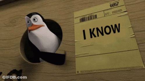 Penguin Sticking Head Out Of Paper Hole GIF