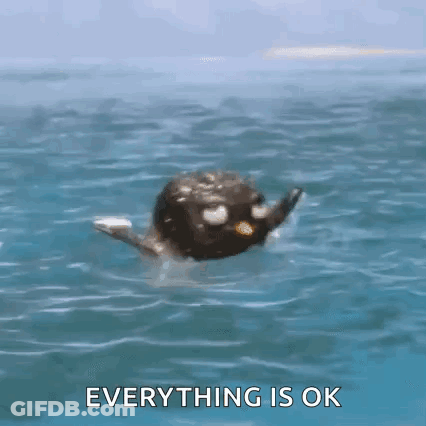 Penguin Swimming In Ocean Saying Everything Is Ok GIF