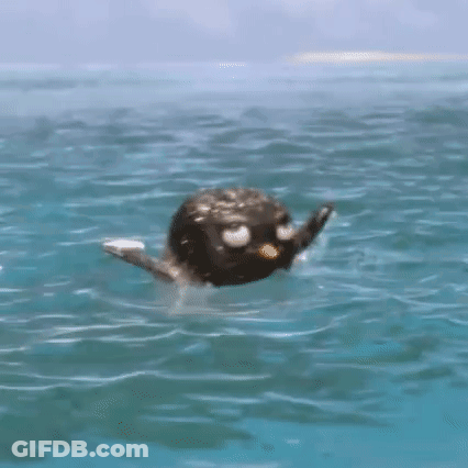 Penguin Swimming With Head Underwater GIF