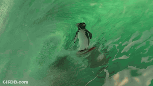 Penguin Swimming With Long Tail And Open Mouth GIF