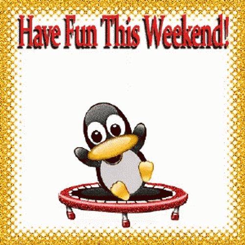Penguin Trampoline Fun Weekend GIF