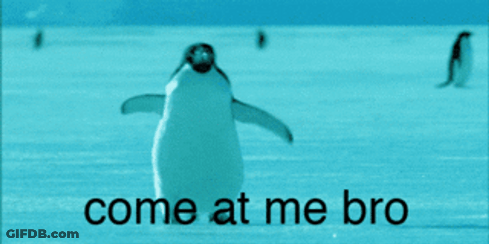 Penguin Waddles Come Bro GIF