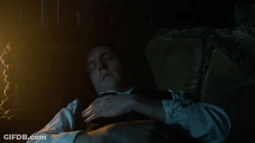 Penguin Waking Up GIF