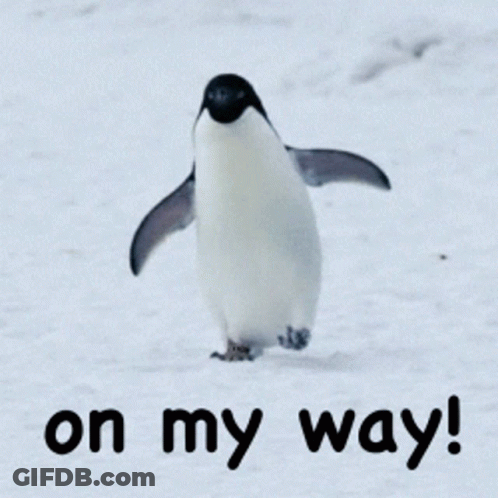Penguin Walking In Snow On My Way GIF