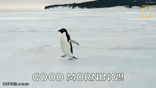 Penguin Walking On Ice Saying Good Morning GIF