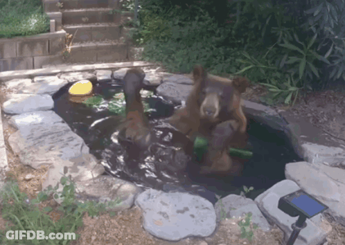 Penguin Washing Dog In Bathtub GIF