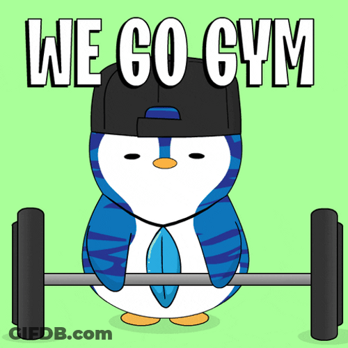 Penguin We Go To The Gym Raise Barbell GIF