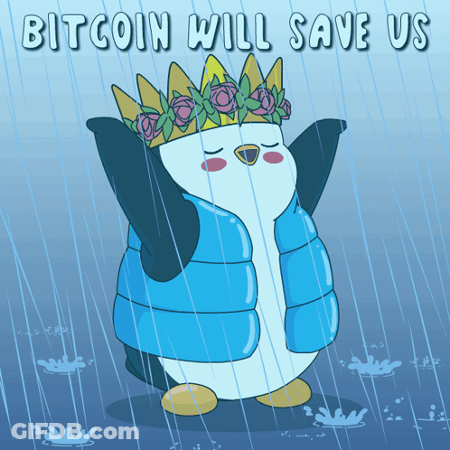 Penguin Wearing Crown In Rain Saying Bitcoin Will Save Us GIF