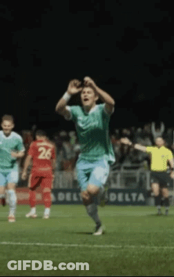 Penguin Wearing Ear Muffs Next To Soccer Ball On Flag GIF