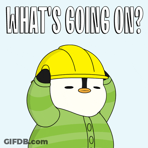 Penguin Wearing Hard Hat Saying Whats Going On GIF