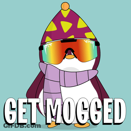 Penguin Wearing Hat And Scarf Get Mogged GIF