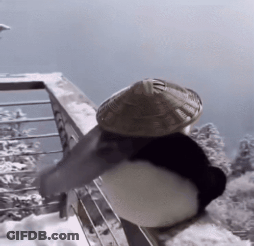 Penguin Wearing Hat On Snowy Balcony GIF