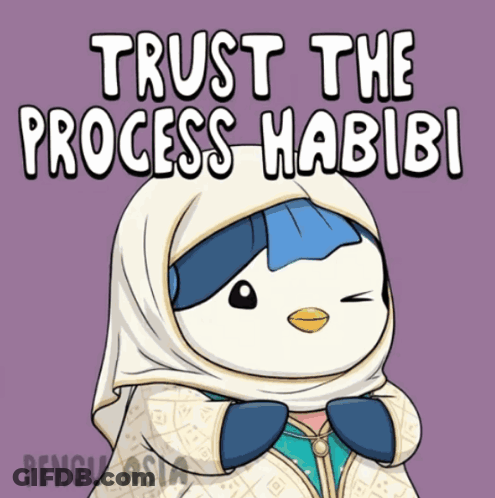 Penguin Wearing Hijab Trust The Process Habibi GIF