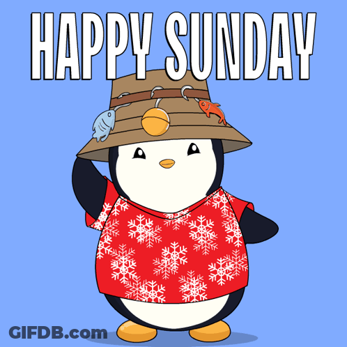Penguin Wearing Hook Hat Saying Happy Sunday GIF