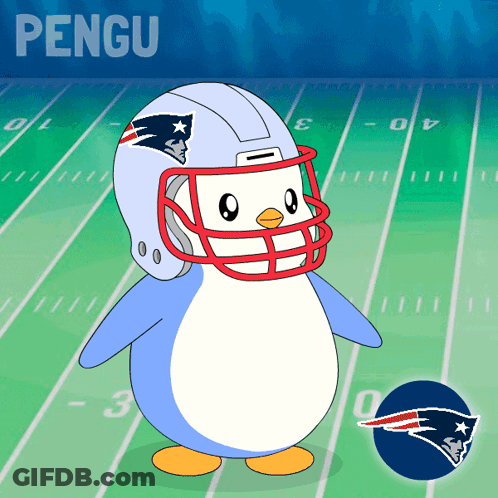 Penguin Wearing Patriots Helmet On Field GIF